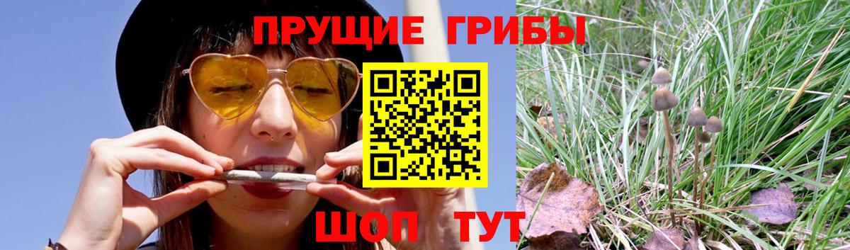 Галлюциногенные грибы Magic Shrooms Аша